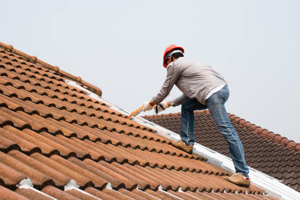 Best Roof Maintenance and Cleaning  in Barstow, CA